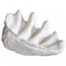 Monumental composite shell form sculpture